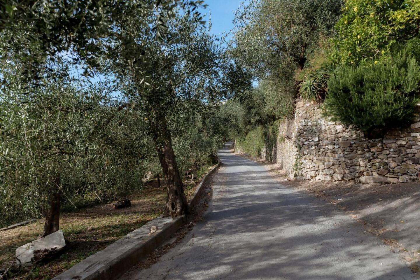 Appartamento Alba Dachi Farm Andora Exterior photo