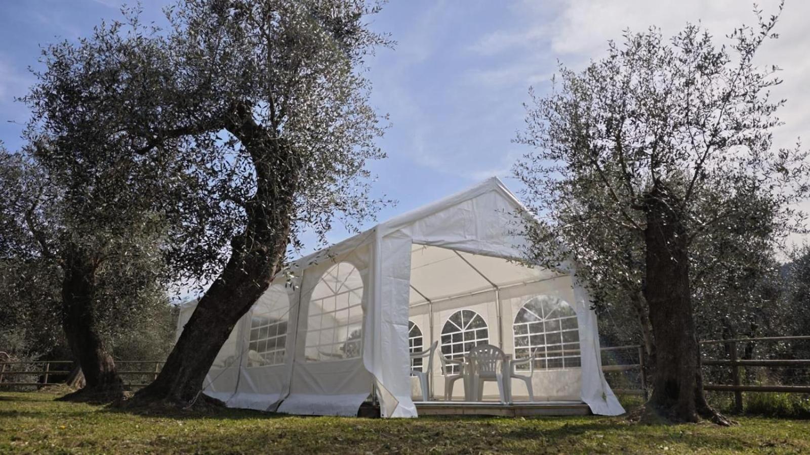 Appartamento Alba Dachi Farm Andora Exterior photo
