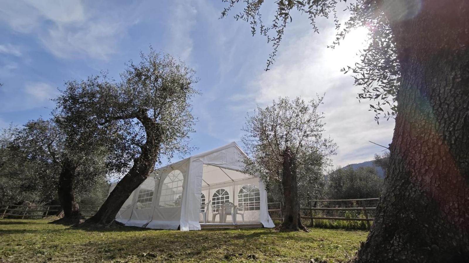 Appartamento Alba Dachi Farm Andora Exterior photo